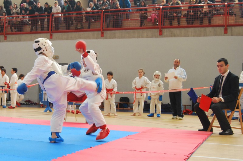 Campeonato Navarro Alevín, Infantil y Juvenil de Kumite en Barañain